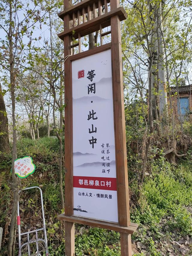 西安柳泉口桃花节赏桃花，粉面含春，争奇斗艳「西安旅游攻略——桃花节」  第22张