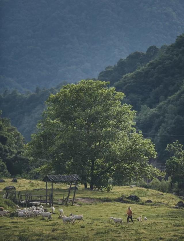 陕西旅游攻略：西安旅游攻略「西安垂钓休闲休闲休闲，西安垂无霜期为西安垂钓休闲」  第36张