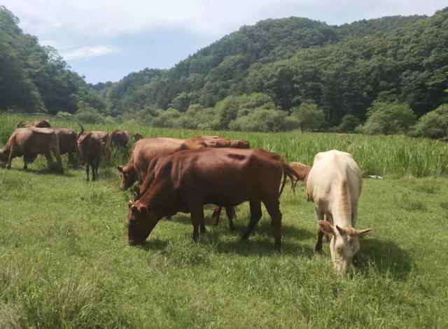 陕西旅游攻略：西安旅游攻略「西安垂钓休闲休闲休闲，西安垂无霜期为西安垂钓休闲」  第41张