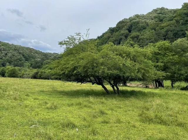 陕西旅游攻略：西安旅游攻略「西安垂钓休闲休闲休闲，西安垂无霜期为西安垂钓休闲」  第45张