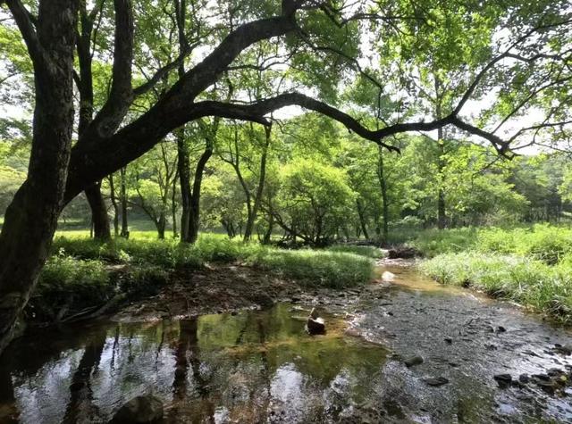 陕西旅游攻略：西安旅游攻略「西安垂钓休闲休闲休闲，西安垂无霜期为西安垂钓休闲」  第48张