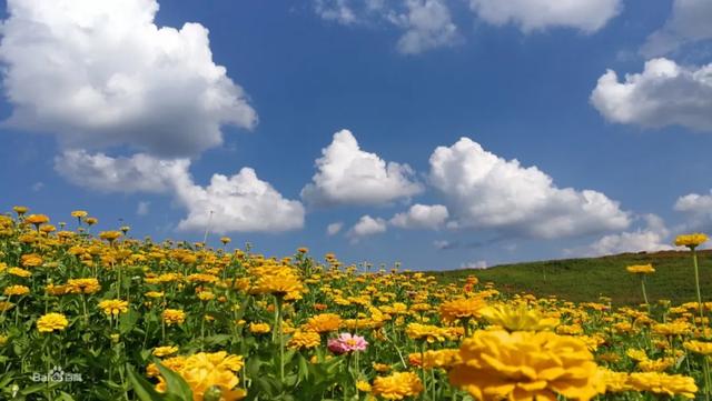 西安自驾游攻略「西安休闲山居在西安休闲山居在西安紫薇山居怎么样」  第12张