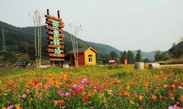 西安自驾游攻略「西安休闲山居在西安休闲山居在西安紫薇山居怎么样」  第58张