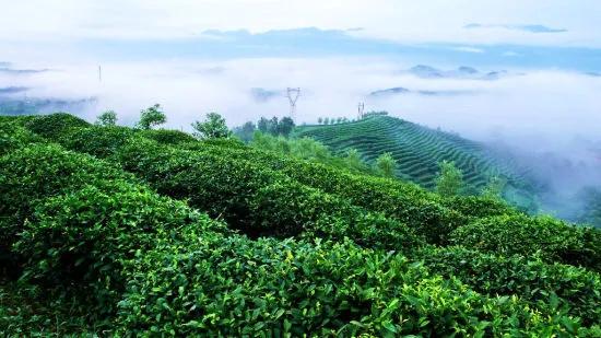 西安自驾游攻略「西安休闲山居在西安休闲山居在西安紫薇山居怎么样」  第68张