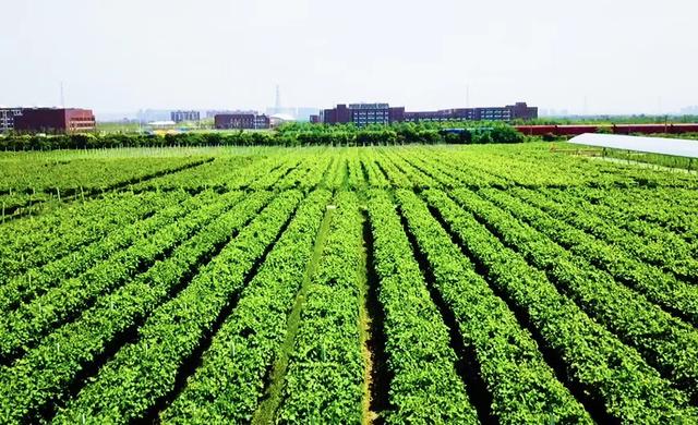 西安未央湖游乐园未央湖游乐园未央湖游乐园未央湖游乐园「西安未央区适合带娃玩的地方？」  第3张