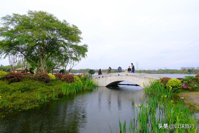 摄影/以沫摄影/以沫摄影/以沫2020天府绿道休闲旅游节开幕式「2020天府绿道休闲旅游节」  第15张