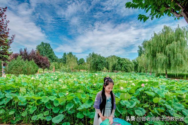 西安快乐休闲西安快乐休闲地址：沣东荷苑导航：沣东荷苑「亲子游西安亲子游」  第29张