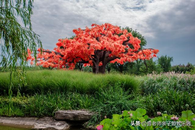 西安乐乐趣「西安休闲娱乐」  第20张