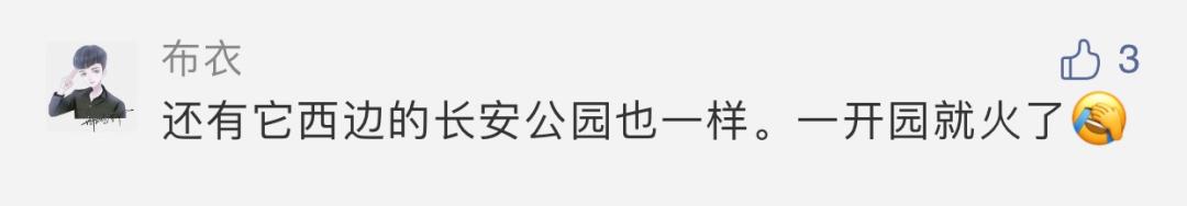 西安长安公园、长安公园、长安公园、长安公园长安公园「西安旅游攻略之长安公园」  第2张