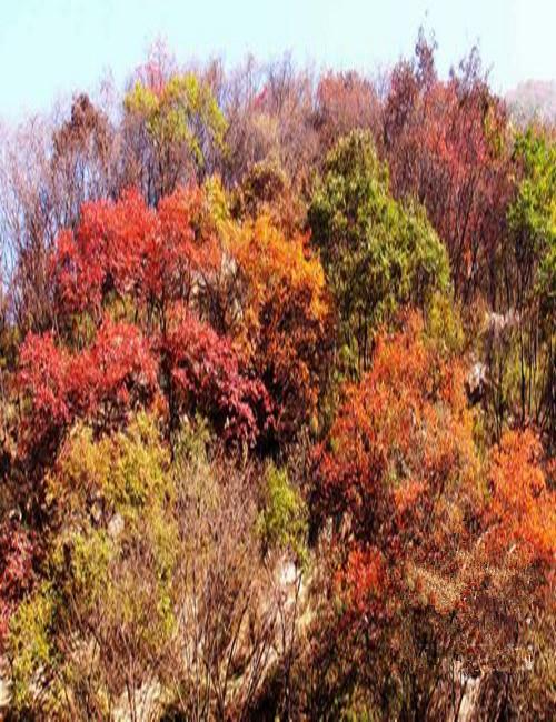 西安自驾游攻略「西安周边最美的三太伯庙，石砭峪大瓢沟登临山颠庙宇」  第7张