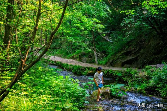 端午节带着孩子去哪里旅游？「中国农家宾馆第一村落，端午节必有yi番想不到的充满闲趣」  第10张