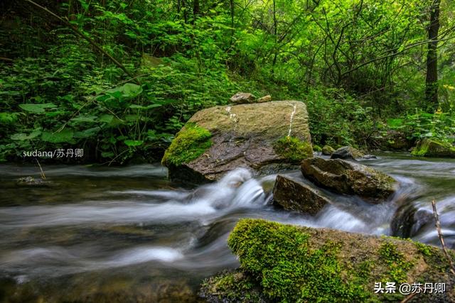 端午节带着孩子去哪里旅游？「中国农家宾馆第一村落，端午节必有yi番想不到的充满闲趣」  第13张