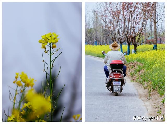 西安休闲旅游「西安休闲娱乐」  第6张