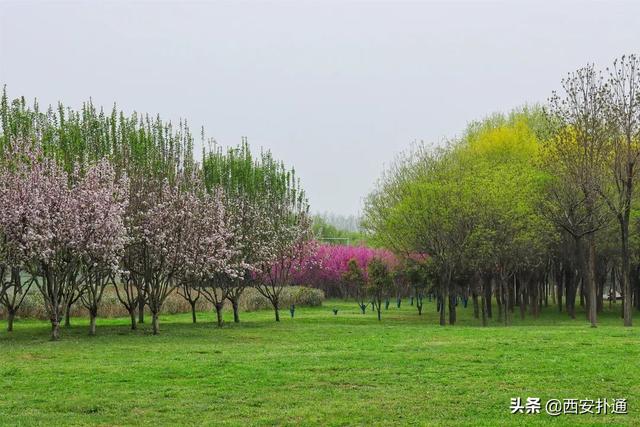 西安休闲旅游「西安休闲娱乐」  第14张