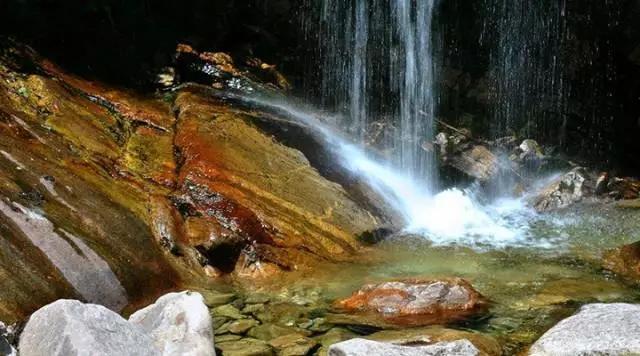 西安旅游攻略｜西安旅游攻略「西安休闲看花又是一年春花烂漫时宅jia太久的景区」  第19张