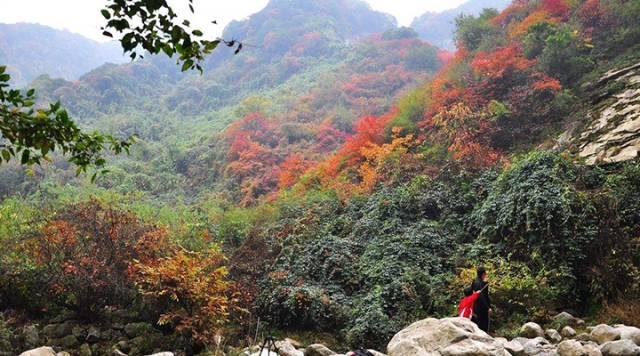 西安旅游攻略｜西安旅游攻略「西安休闲看花又是一年春花烂漫时宅jia太久的景区」  第20张