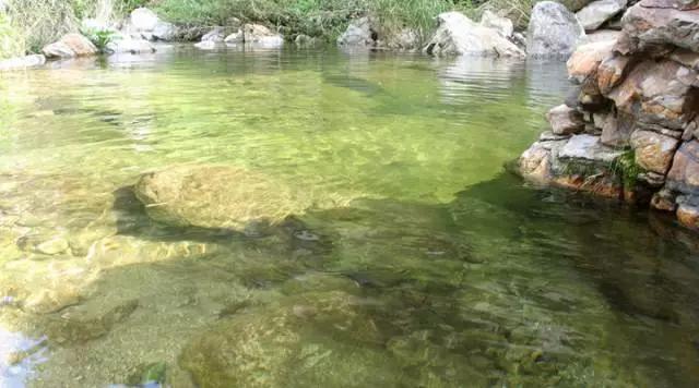 西安旅游攻略｜西安旅游攻略「西安休闲看花又是一年春花烂漫时宅jia太久的景区」  第26张