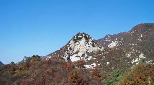 西安旅游攻略｜西安旅游攻略「西安休闲看花又是一年春花烂漫时宅jia太久的景区」  第23张