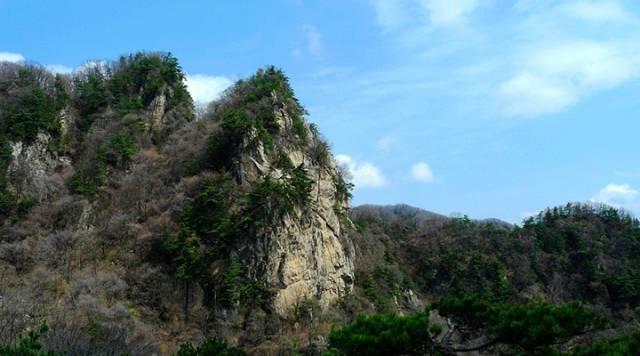 西安旅游攻略｜西安旅游攻略「西安休闲看花又是一年春花烂漫时宅jia太久的景区」  第37张