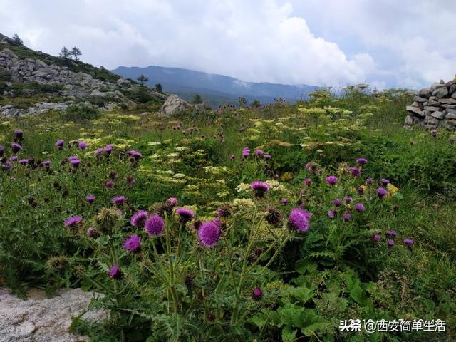 西安休闲徒步西安休闲徒步从三爷海到玉皇池约四十分钟「西安休闲徒步」  第11张