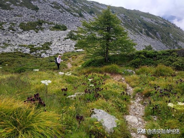 西安休闲徒步西安休闲徒步从三爷海到玉皇池约四十分钟「西安休闲徒步」  第10张