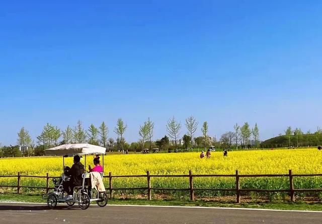 西安户外休闲专区在哪「西安适合休闲放松的地方」  第2张