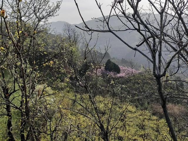 西安鄠邑区第四届柳泉桃花节赏桃花节「粉红，录一览：西安休闲娱乐好去处」  第36张