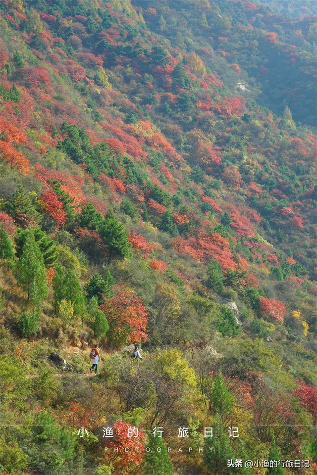 西安山里休闲生活小区「西安山里面哪里可以玩」  第2张