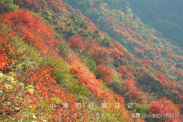 西安山里休闲生活小区「西安山里面哪里可以玩」  第16张