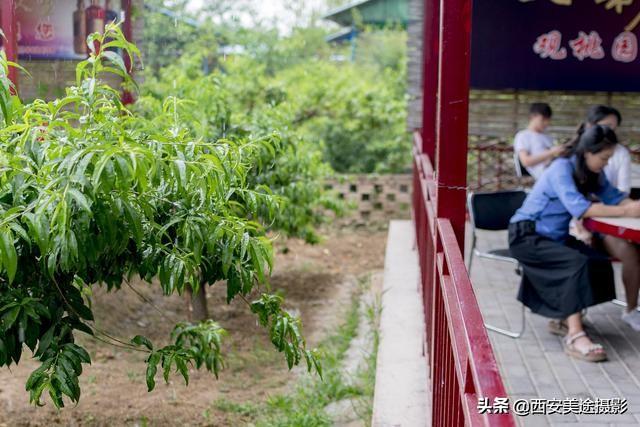 西安老人休闲俱乐部有哪些「西安适合老人玩的地方」  第15张