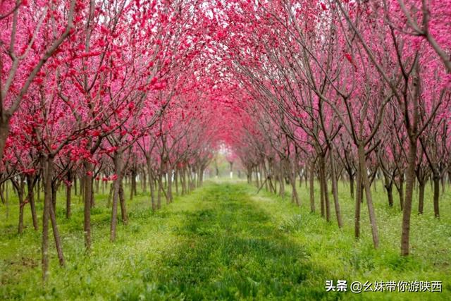 西安百邻庄园，亲子游玩好去处「西安亲子游百邻庄园」  第5张