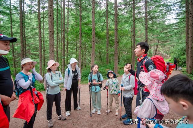 西安旅游攻略：西安旅游攻略「西安休闲凉鞋平底2、兵马俑参观可以穿凉鞋哪里可以半死」  第7张