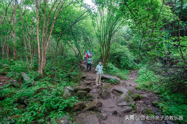 西安旅游攻略：西安旅游攻略「西安休闲凉鞋平底2、兵马俑参观可以穿凉鞋哪里可以半死」  第76张