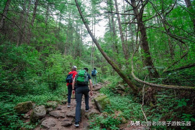 西安旅游攻略：西安旅游攻略「西安休闲凉鞋平底2、兵马俑参观可以穿凉鞋哪里可以半死」  第14张