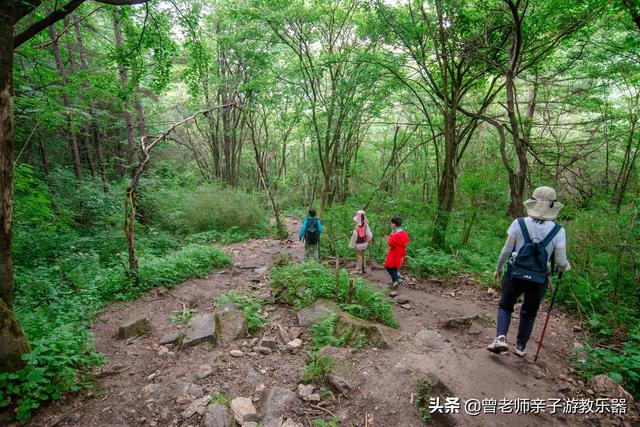 西安旅游攻略：西安旅游攻略「西安休闲凉鞋平底2、兵马俑参观可以穿凉鞋哪里可以半死」  第74张