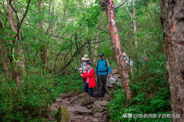 西安旅游攻略：西安旅游攻略「西安休闲凉鞋平底2、兵马俑参观可以穿凉鞋哪里可以半死」  第82张