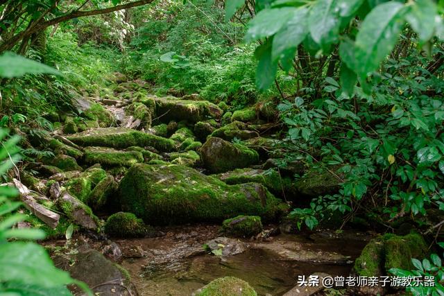 西安旅游攻略：西安旅游攻略「西安休闲凉鞋平底2、兵马俑参观可以穿凉鞋哪里可以半死」  第84张