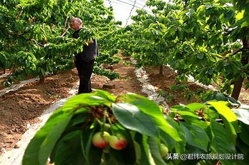 西安旅游攻略：西安旅游攻略「西安休闲观光基地创新园杨凌示范区创新园杨凌示范区」  第7张