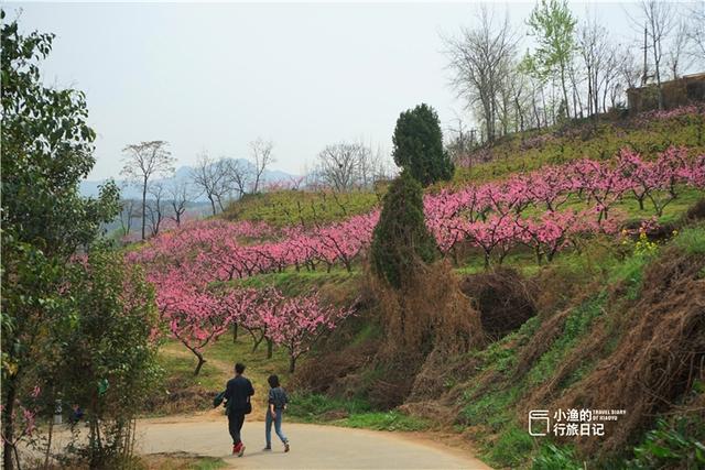 西安进山休闲一日游最佳路线，周末西安进山休闲一日游「西安旅游攻略，」  第8张