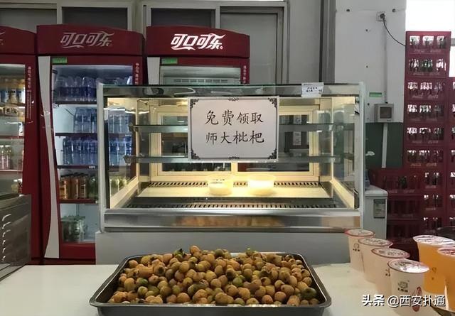 西安高考志愿填报了西交大的食堂，陕师大食堂的价格fei常的便宜「西安大学的食堂」  第16张