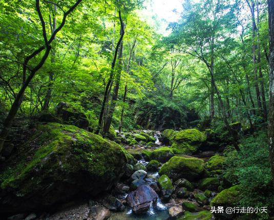 西安旅游攻略之秦岭篇「秦岭主峰鳌山和四十里跑马梁可见第四纪冰川地貌壮观」  第8张