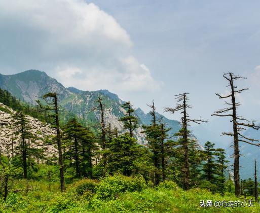 西安旅游攻略之秦岭篇「秦岭主峰鳌山和四十里跑马梁可见第四纪冰川地貌壮观」  第16张