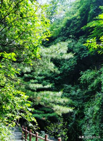 西安旅游攻略之秦岭篇「秦岭主峰鳌山和四十里跑马梁可见第四纪冰川地貌壮观」  第26张