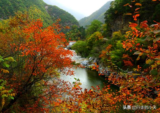 西安旅游攻略之秦岭篇「秦岭主峰鳌山和四十里跑马梁可见第四纪冰川地貌壮观」  第32张