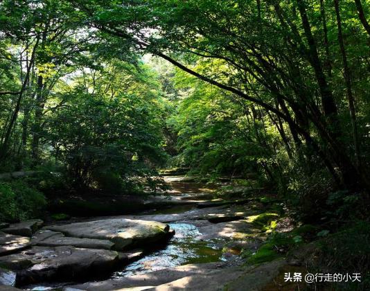 西安旅游攻略之秦岭篇「秦岭主峰鳌山和四十里跑马梁可见第四纪冰川地貌壮观」  第45张