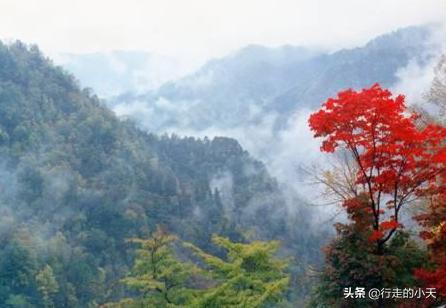 西安旅游攻略之秦岭篇「秦岭主峰鳌山和四十里跑马梁可见第四纪冰川地貌壮观」  第50张