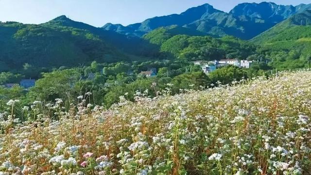 西安休闲乡村之旅西安休闲乡村之旅「西安休闲乡村之旅」  第1张