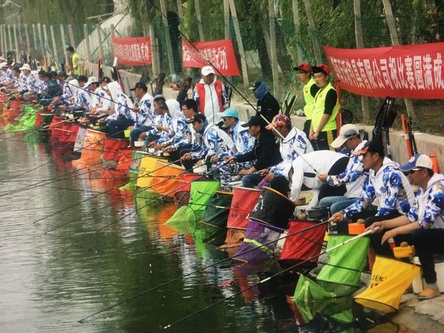 陕西朝邑第二届\“金城杯\”钓鱼大赛开幕啦！「大荔金城农家乐垂钓园西安休闲垂钓园西安休闲垂钓园」  第14张