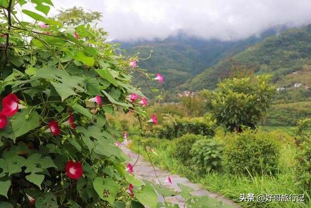 西安火车站附近有哪个免费公园附近有哪些热闹非凡的地方「好哥旅行记之西安游记」  第6张