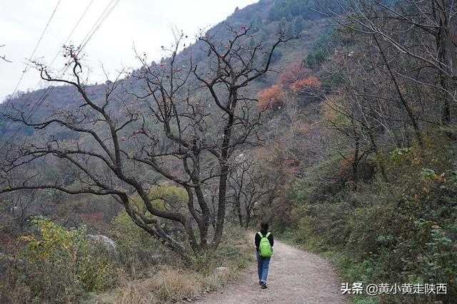 西安旅游攻略：子午古道「西安子午古道游」  第14张